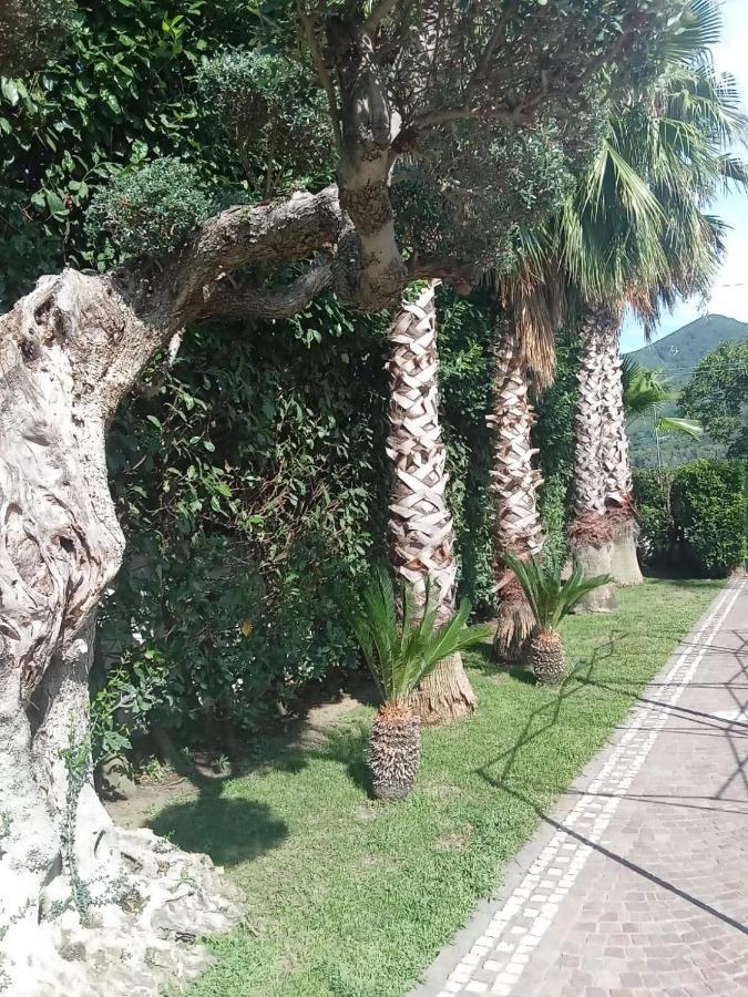 Villa Agata Forchia Exterior foto